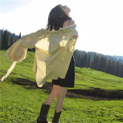 冬森林的秘密