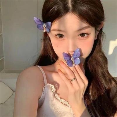 借口公司2