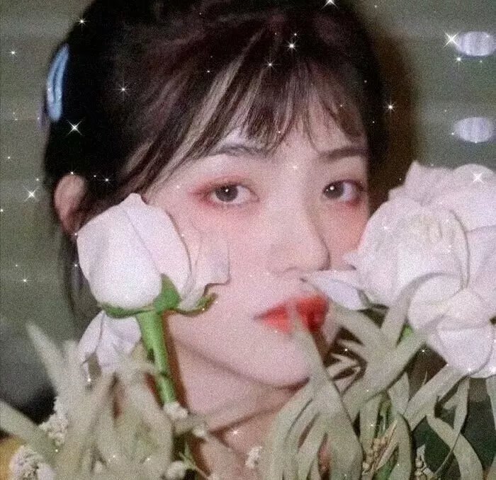 女人的一切